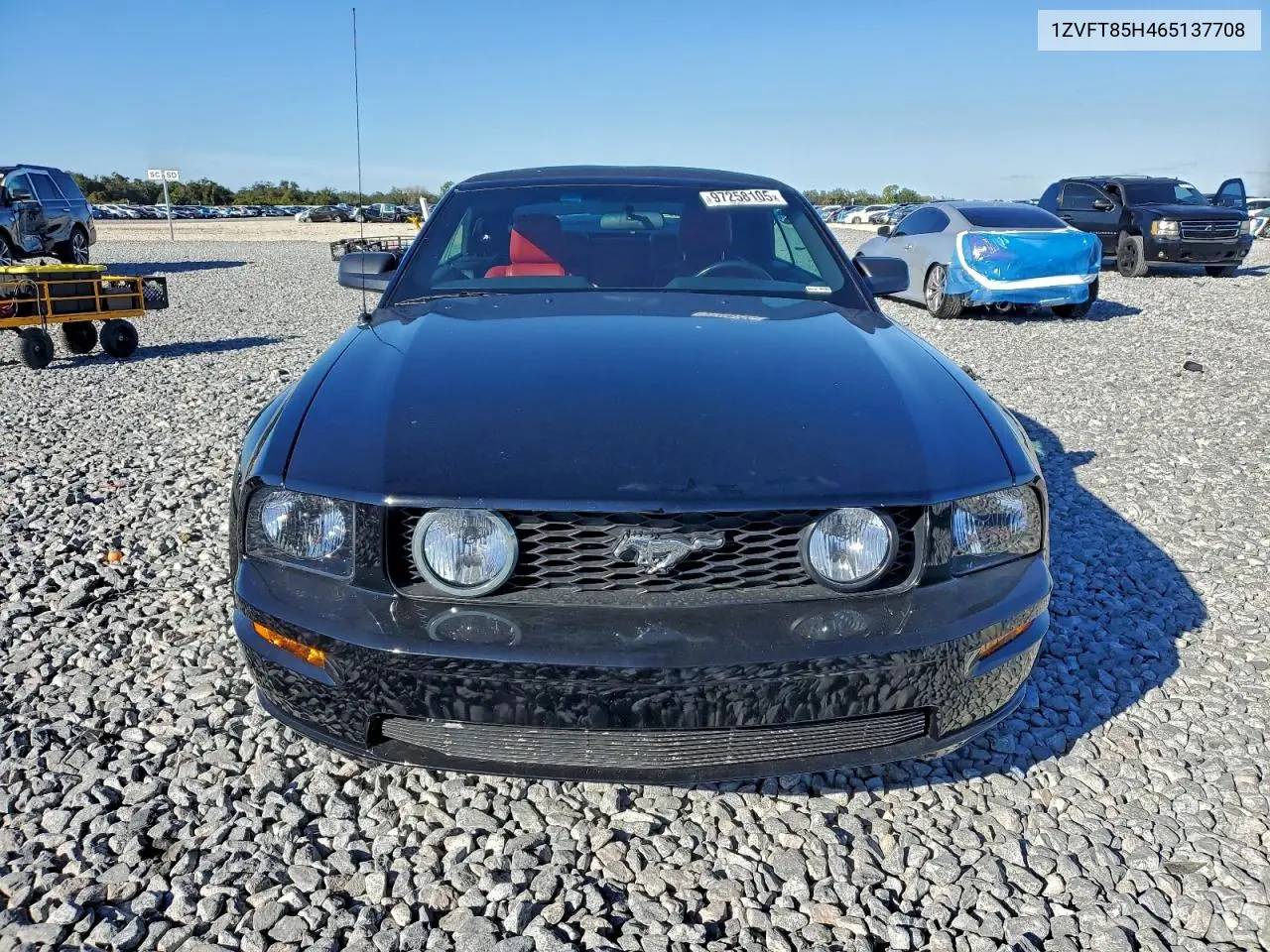1ZVFT85H465137708 2006 Ford Mustang Gt
