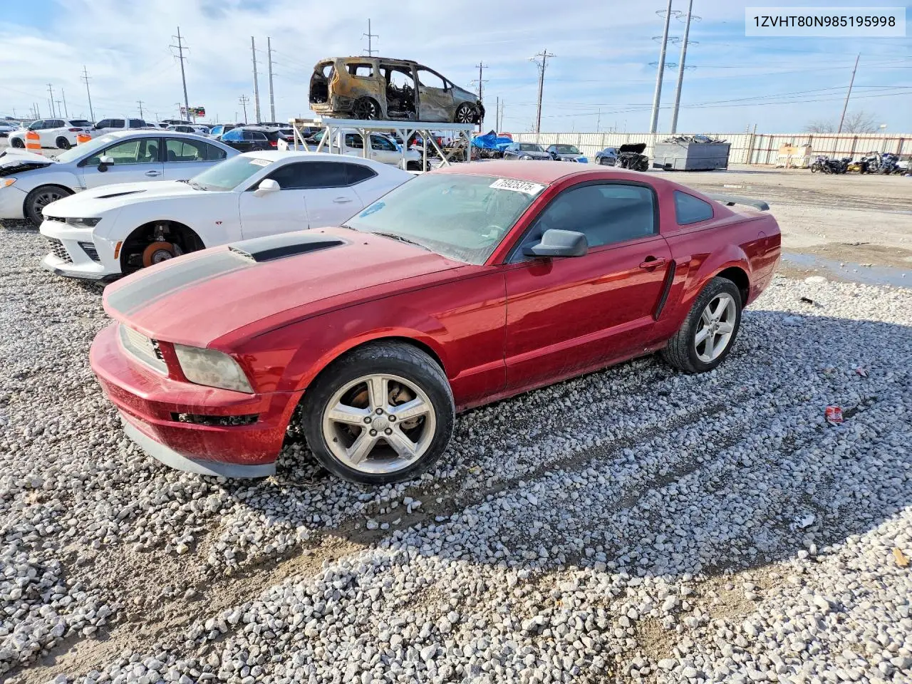 1ZVHT80N985195998 2008 Ford Mustang