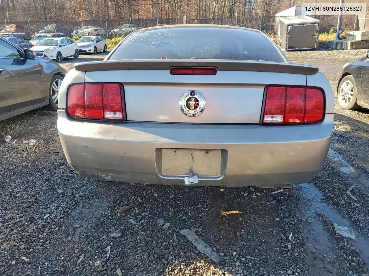 1ZVHT80N285126327 2008 Ford Mustang