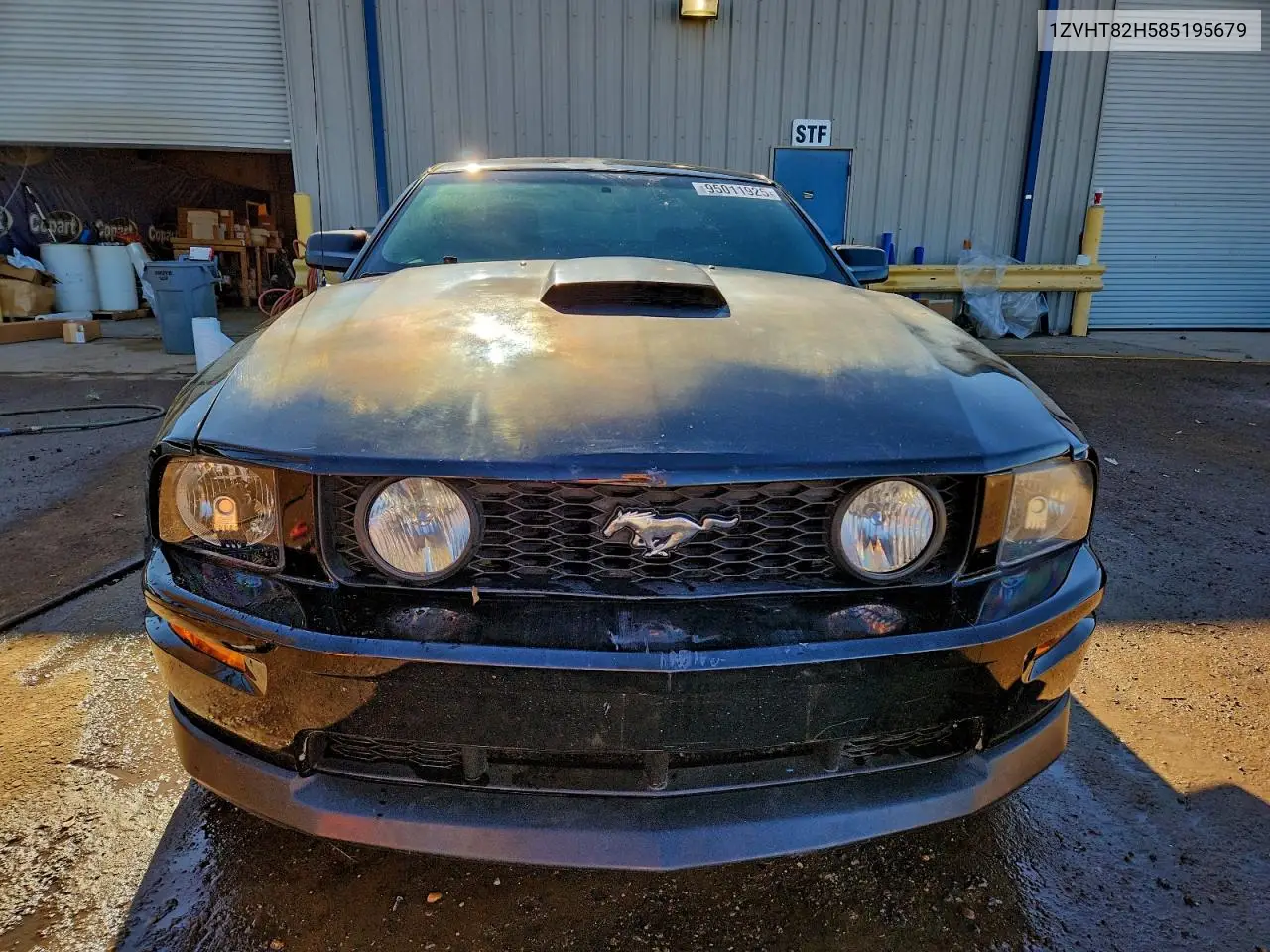 1ZVHT82H585195679 2008 Ford Mustang Gt