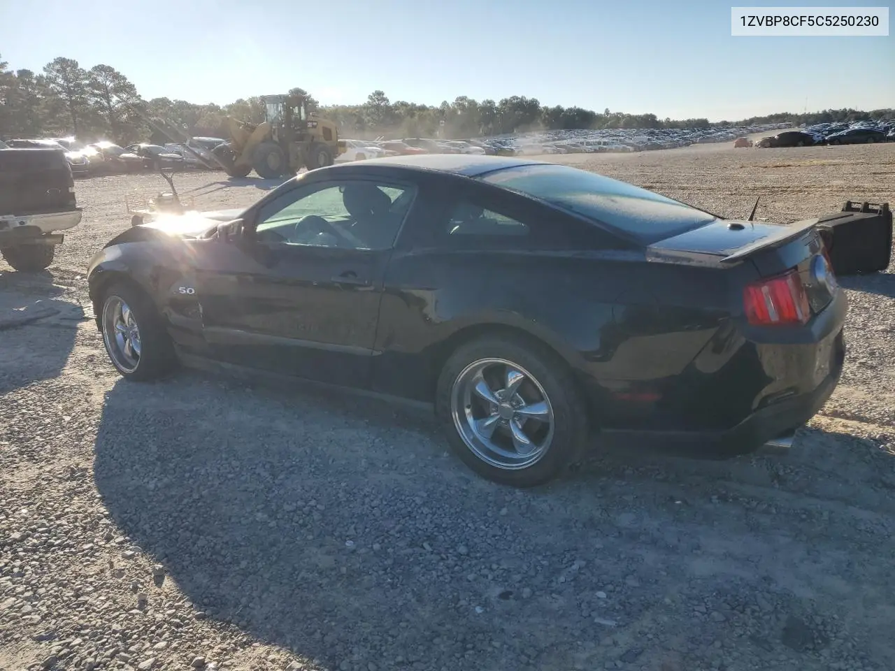 1ZVBP8CF5C5250230 2012 Ford Mustang Gt