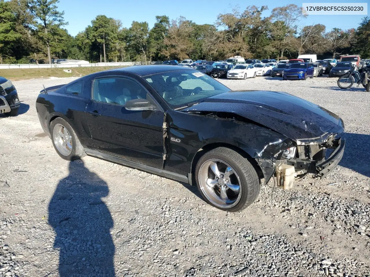1ZVBP8CF5C5250230 2012 Ford Mustang Gt