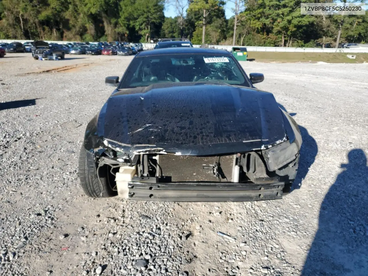 1ZVBP8CF5C5250230 2012 Ford Mustang Gt