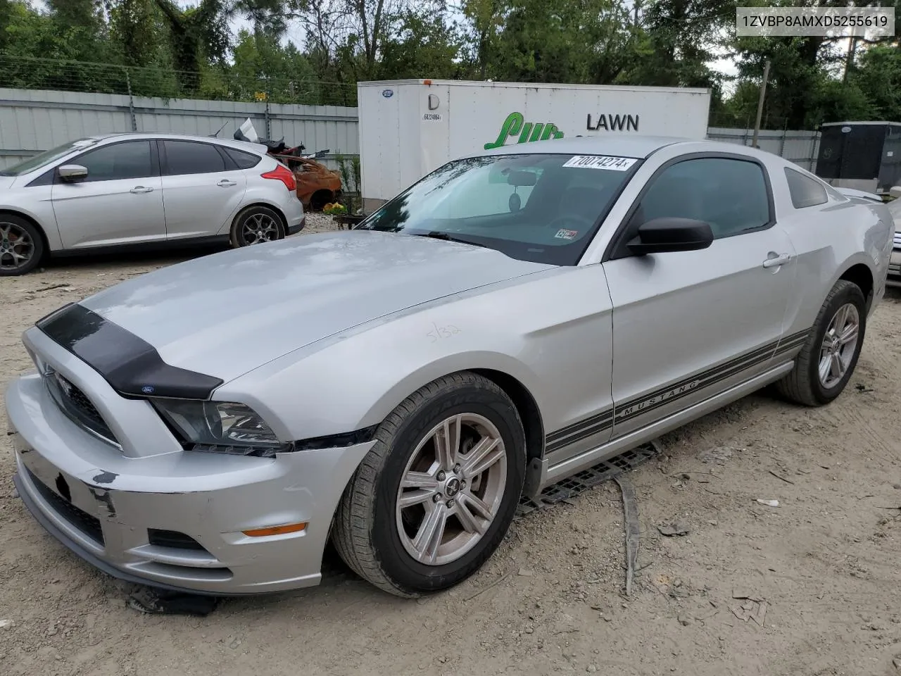 1ZVBP8AMXD5255619 2013 Ford Mustang