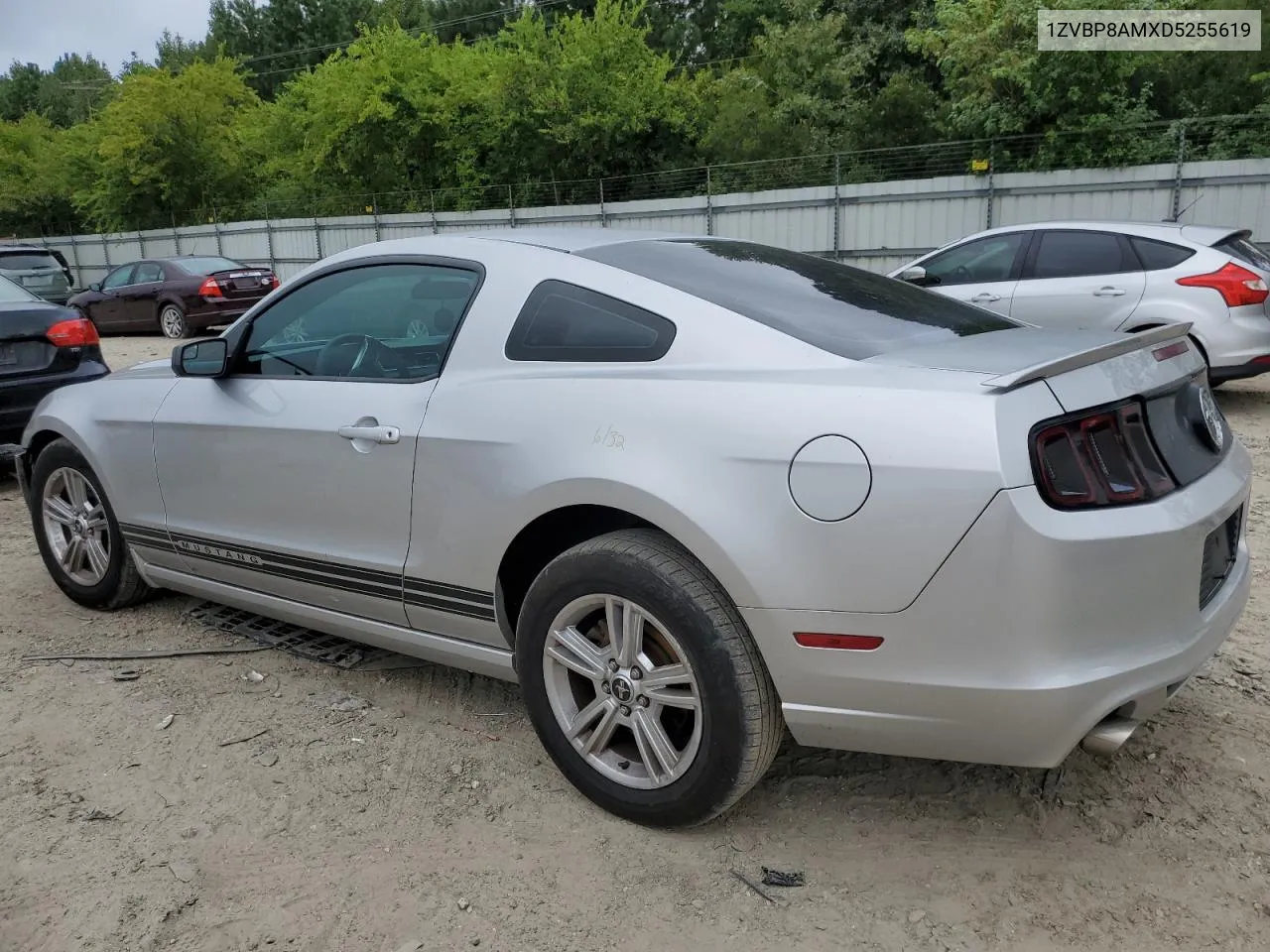 1ZVBP8AMXD5255619 2013 Ford Mustang