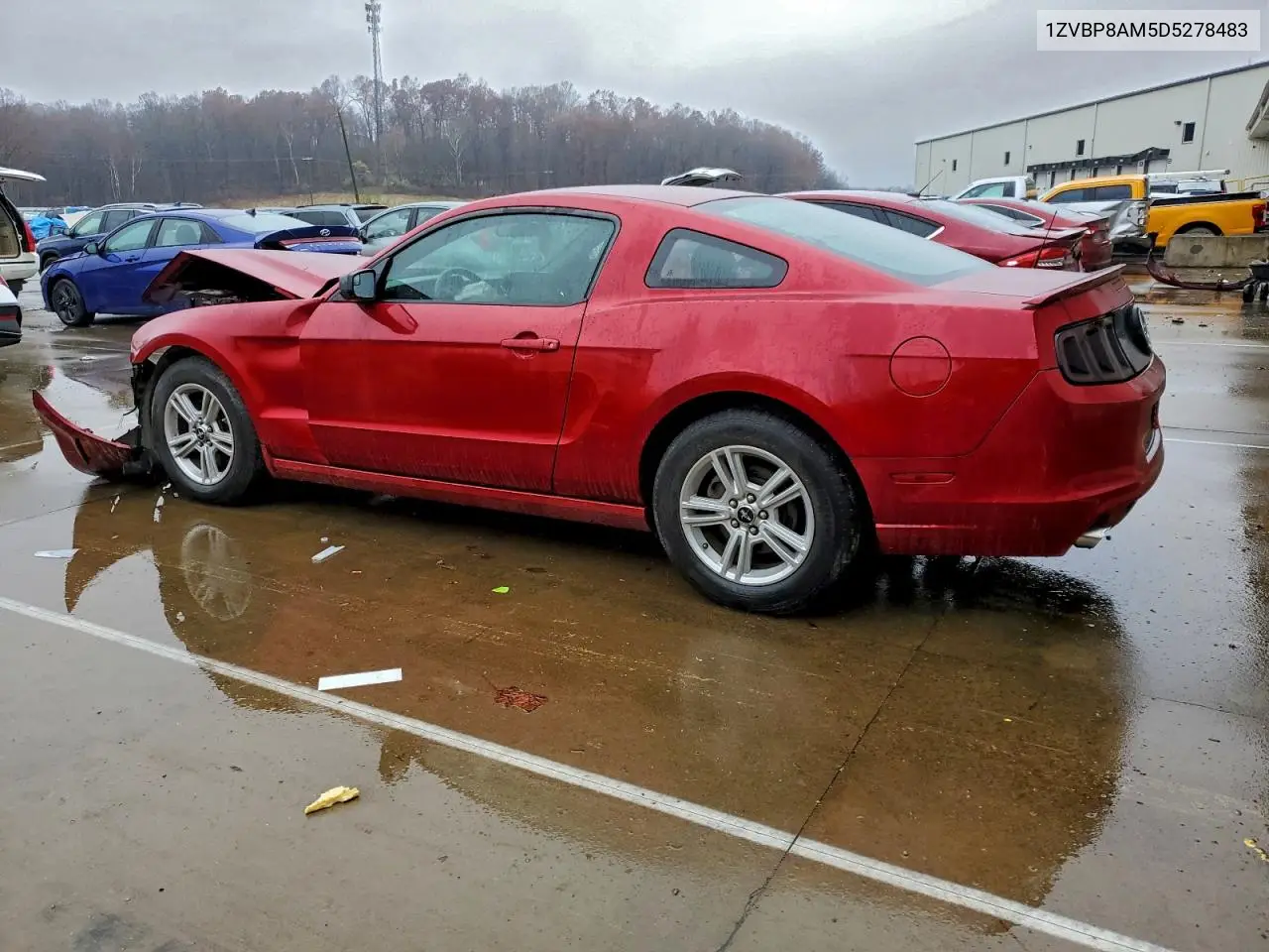 1ZVBP8AM5D5278483 2013 Ford Mustang