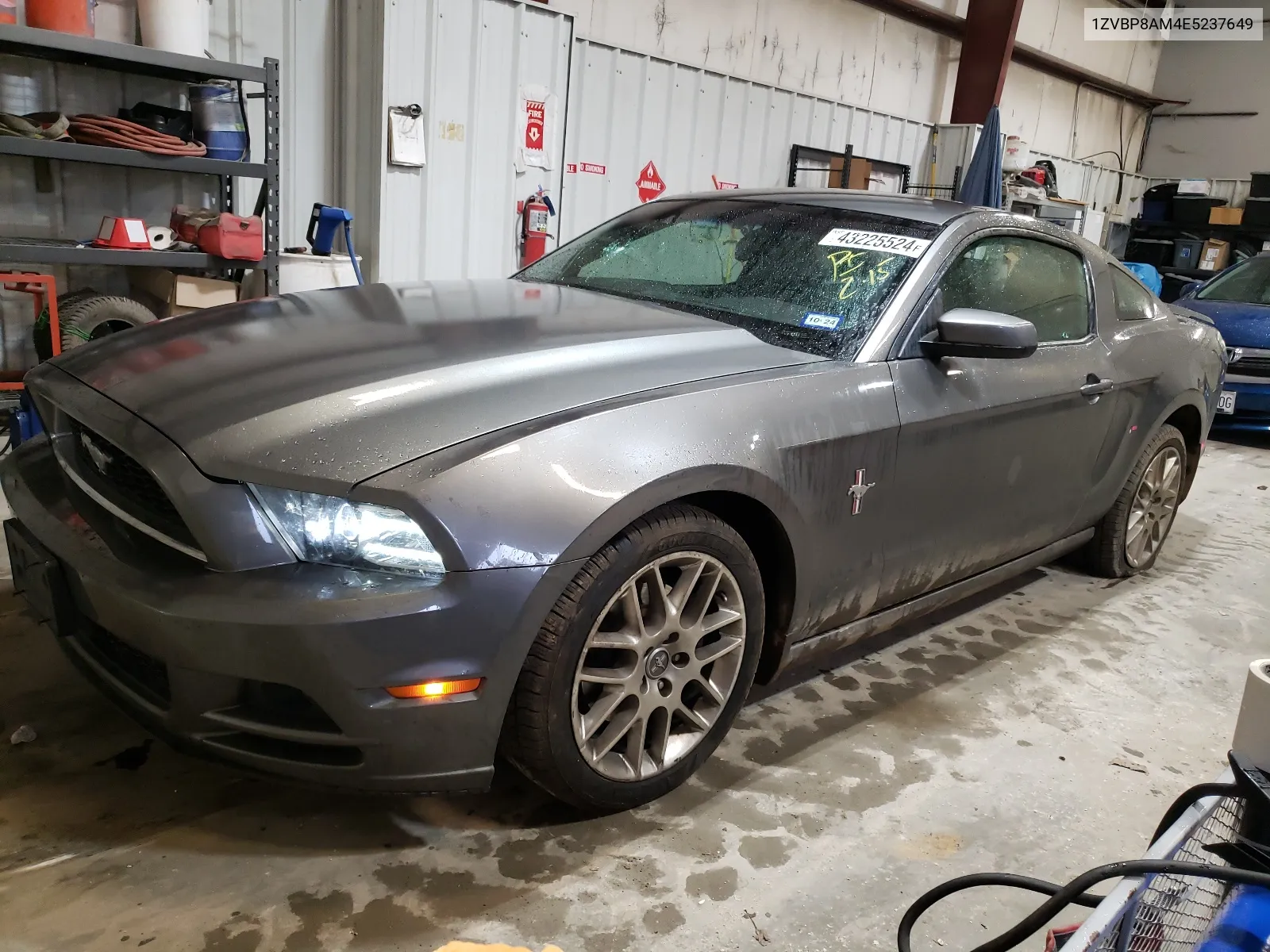 1ZVBP8AM4E5237649 2014 Ford Mustang