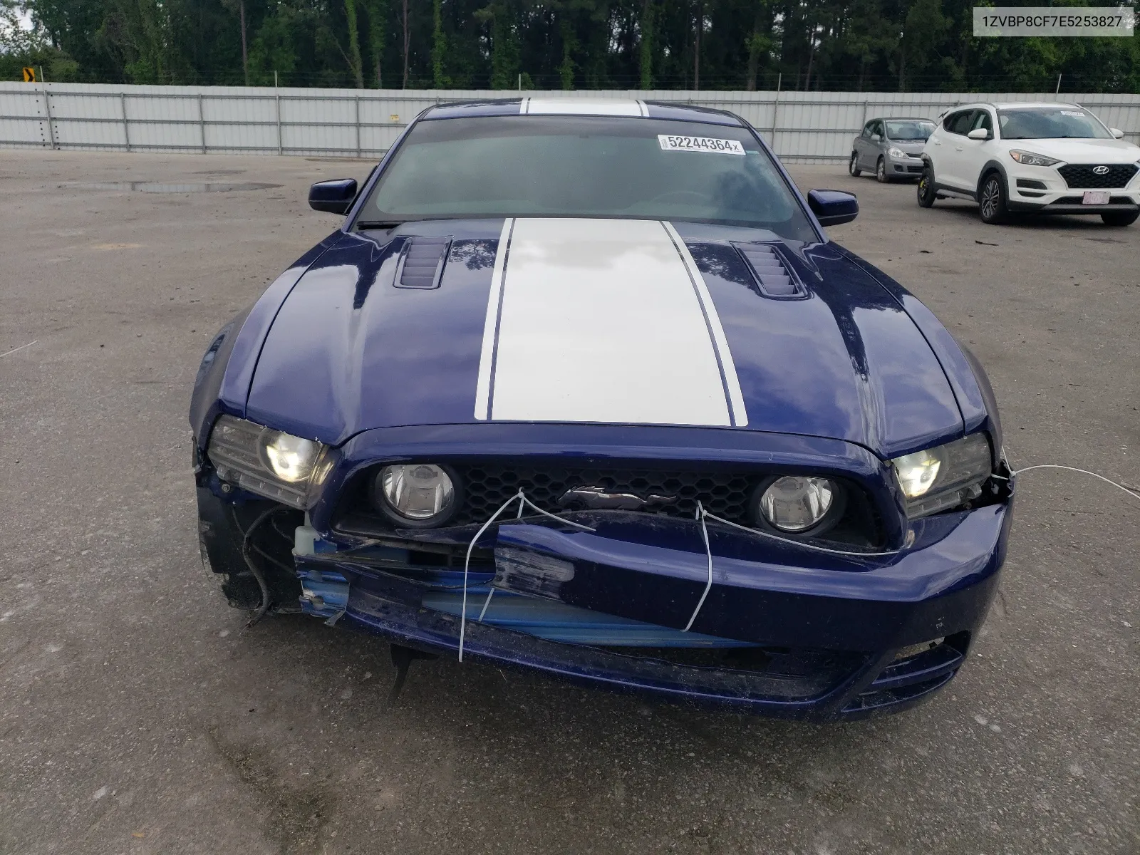 1ZVBP8CF7E5253827 2014 Ford Mustang Gt