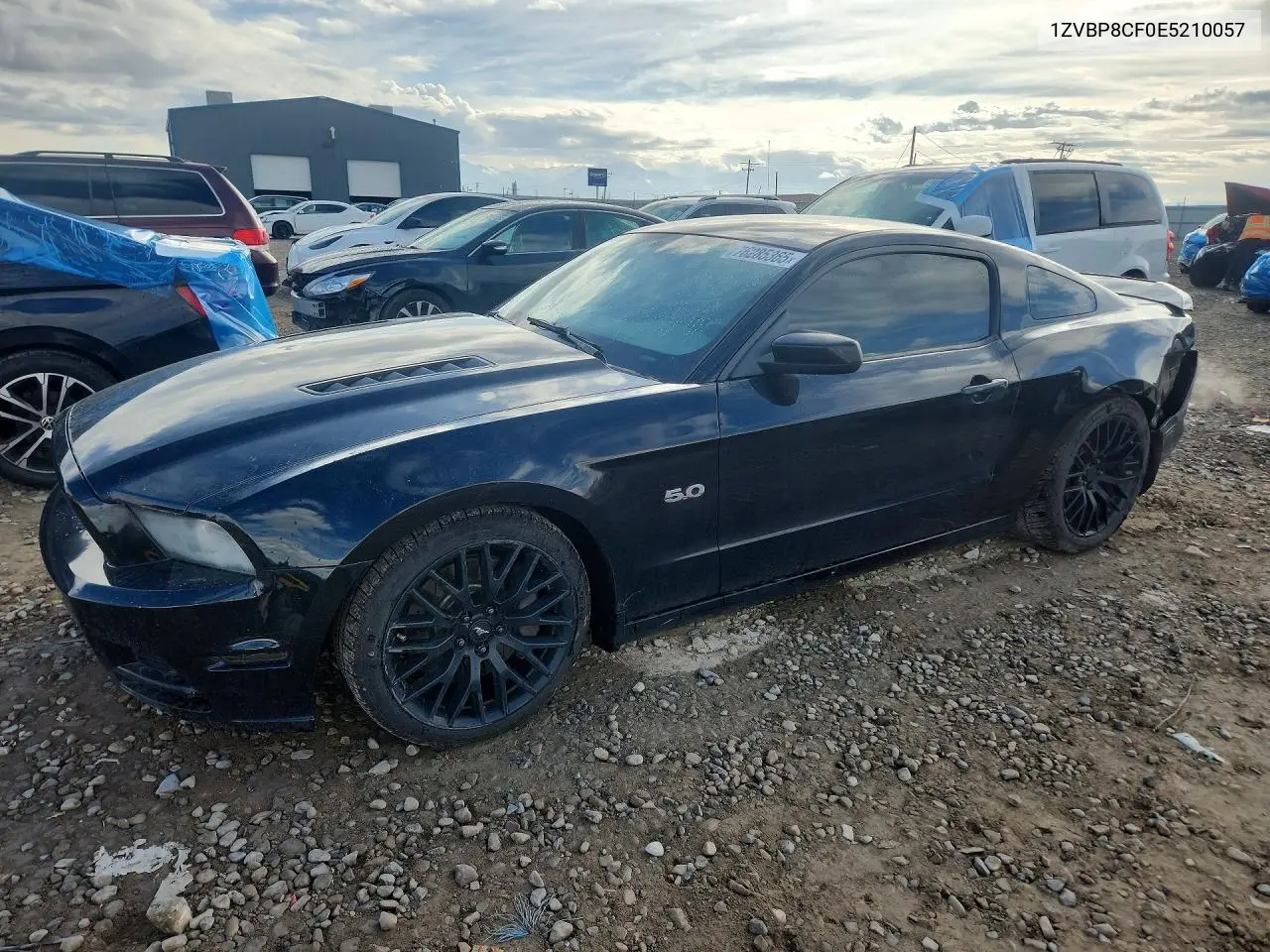 1ZVBP8CF0E5210057 2014 Ford Mustang Gt