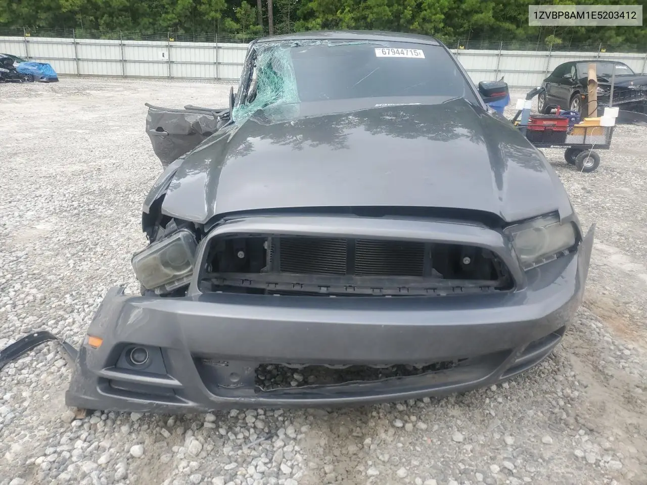 1ZVBP8AM1E5203412 2014 Ford Mustang