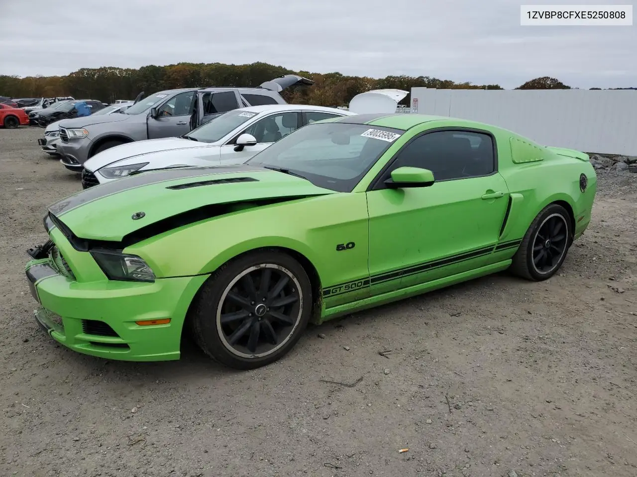 1ZVBP8CFXE5250808 2014 Ford Mustang Gt