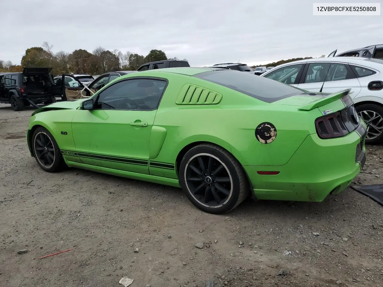 1ZVBP8CFXE5250808 2014 Ford Mustang Gt