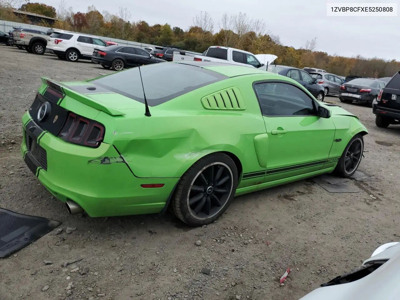 1ZVBP8CFXE5250808 2014 Ford Mustang Gt