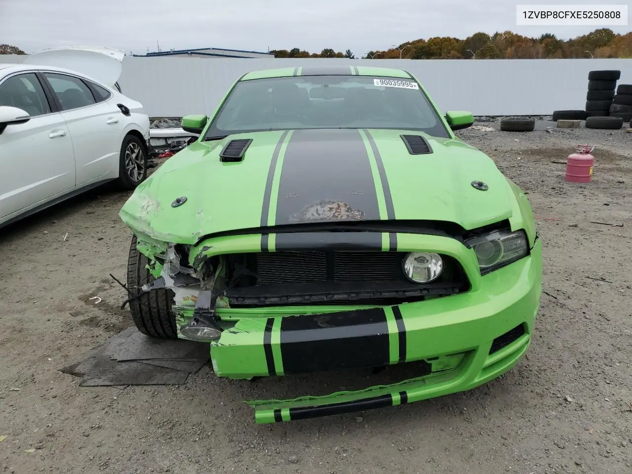 1ZVBP8CFXE5250808 2014 Ford Mustang Gt