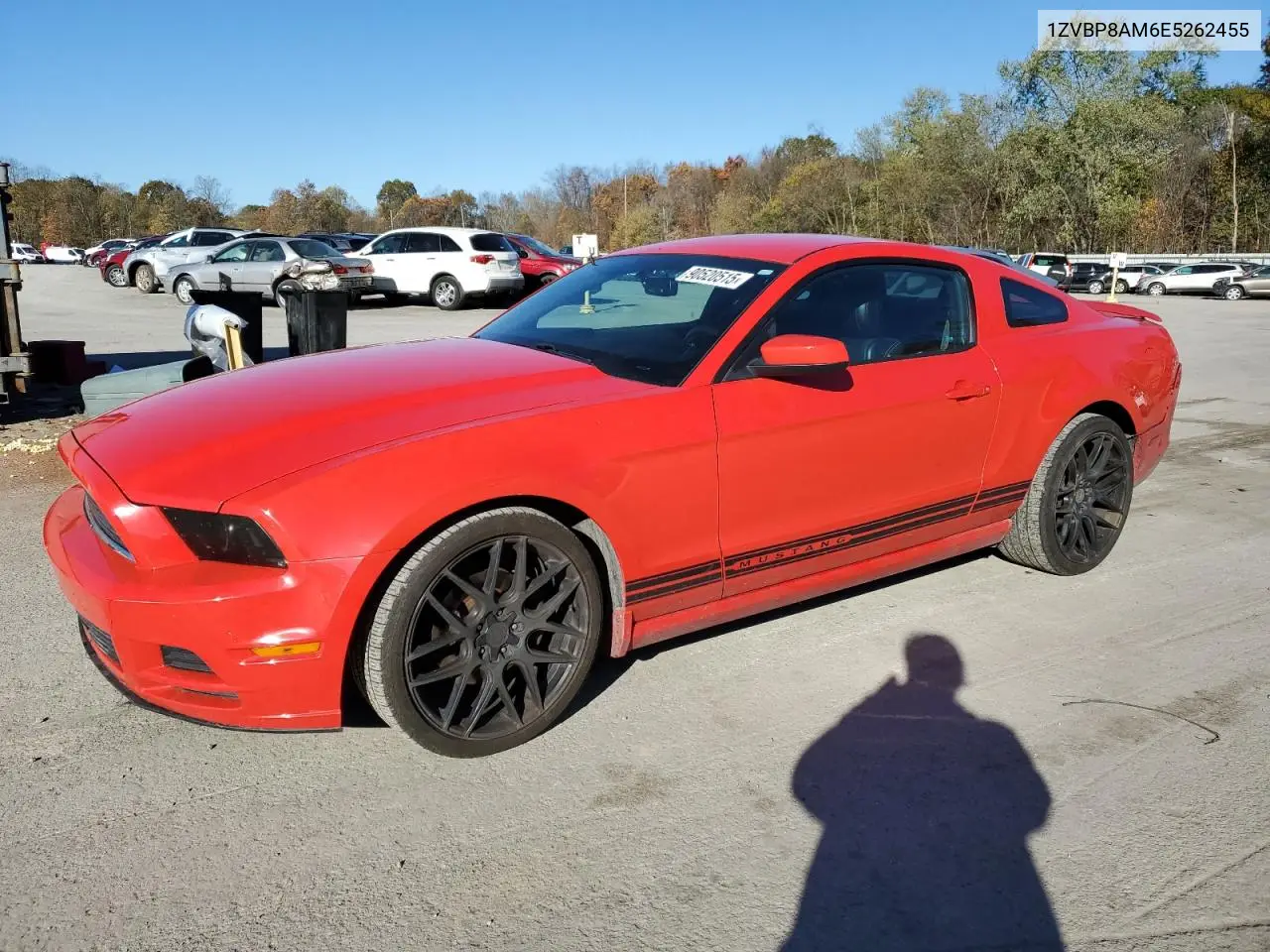 1ZVBP8AM6E5262455 2014 Ford Mustang