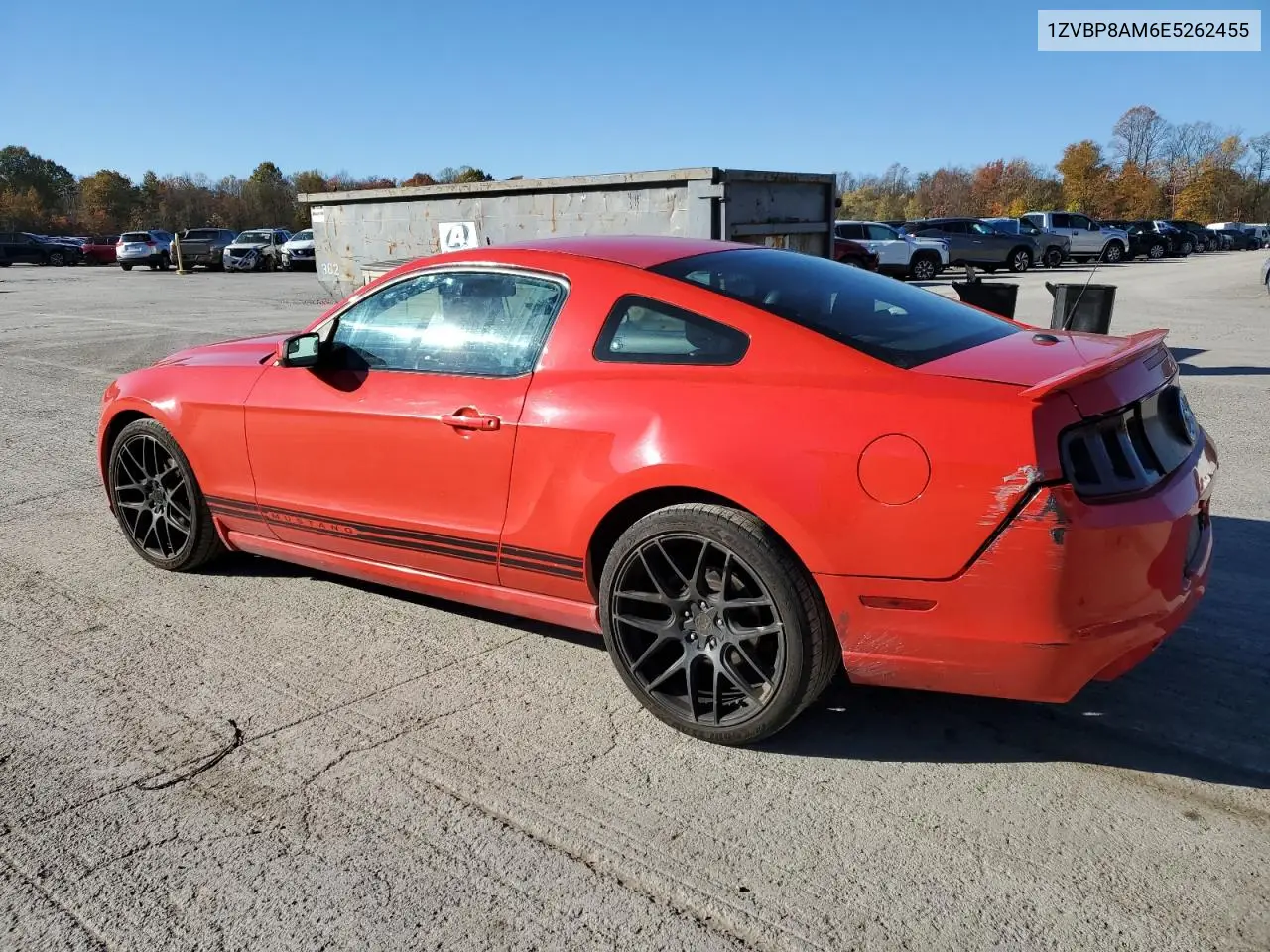 1ZVBP8AM6E5262455 2014 Ford Mustang