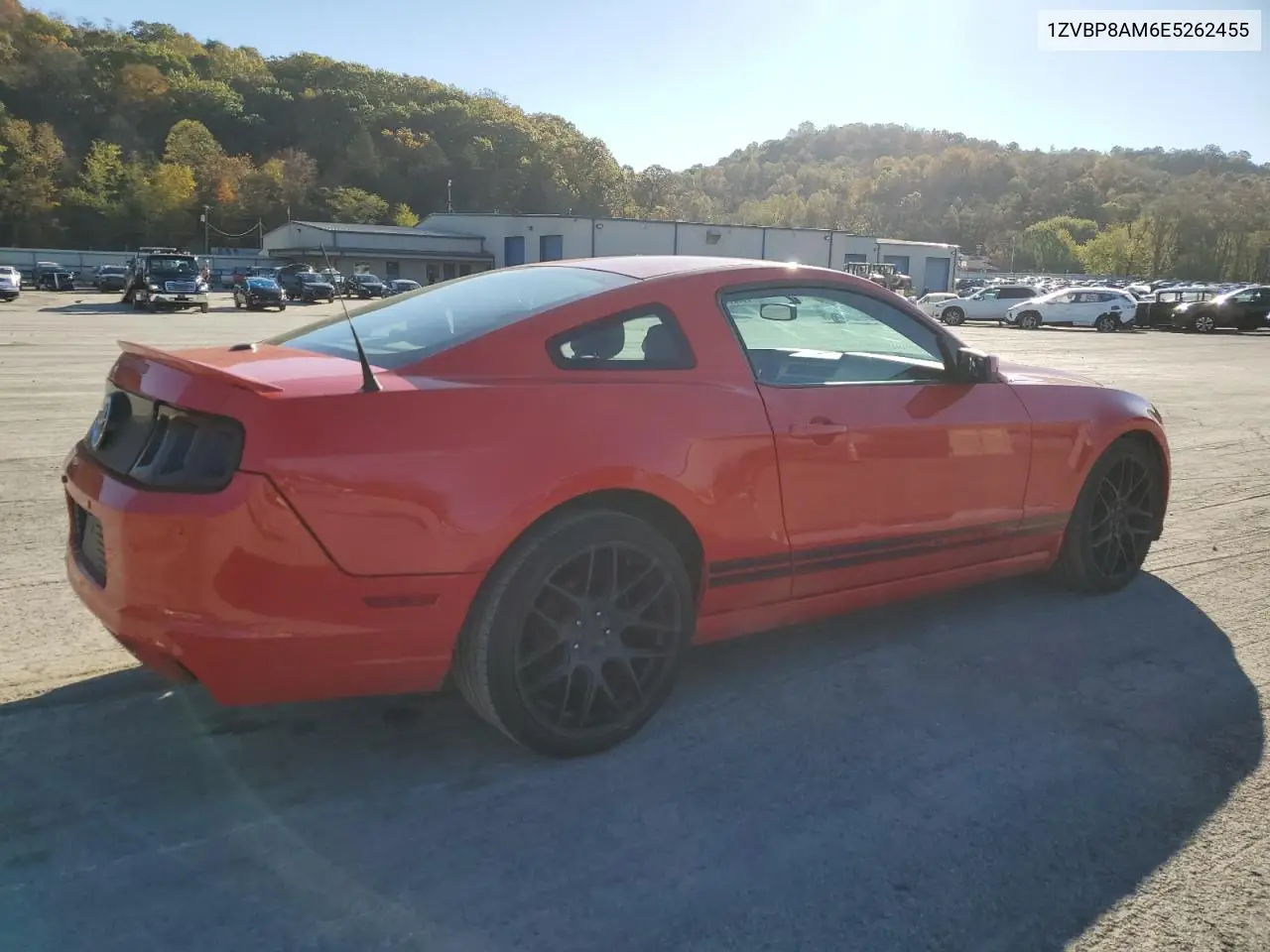 1ZVBP8AM6E5262455 2014 Ford Mustang