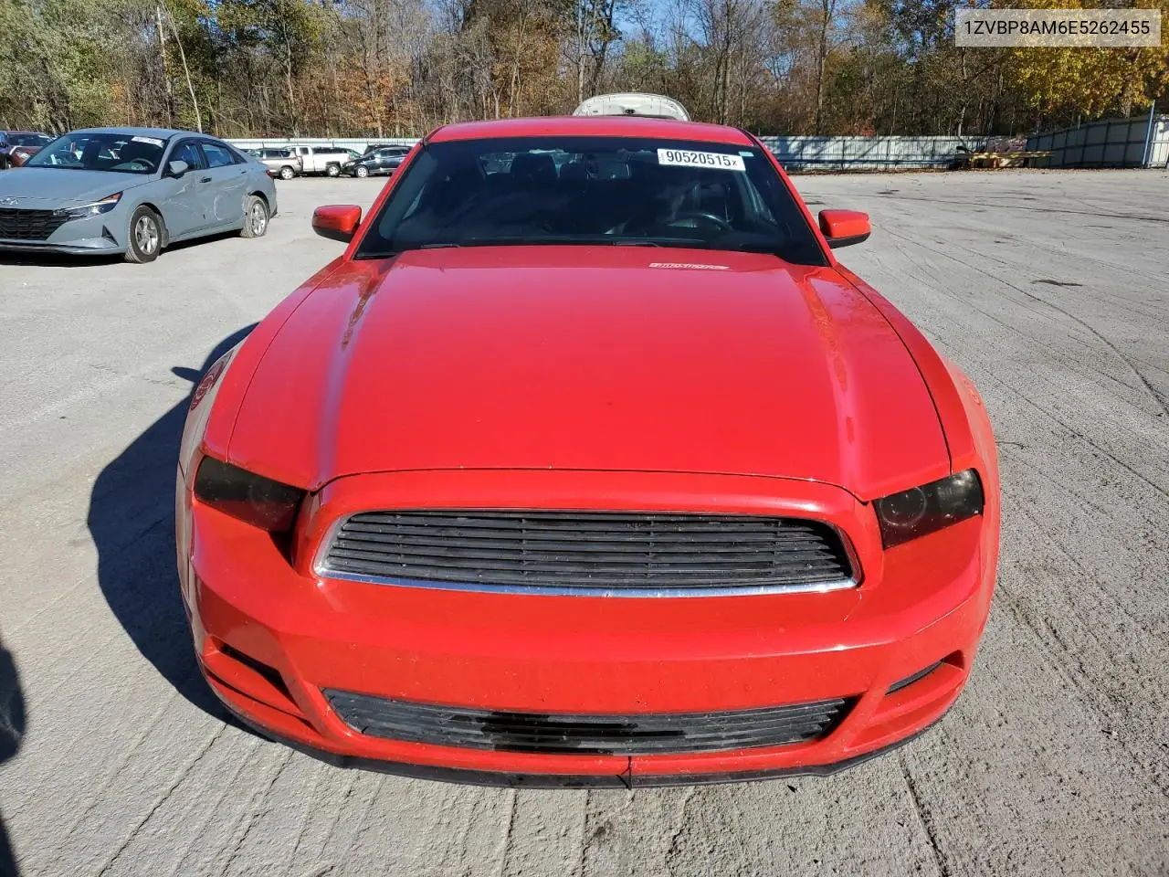 1ZVBP8AM6E5262455 2014 Ford Mustang