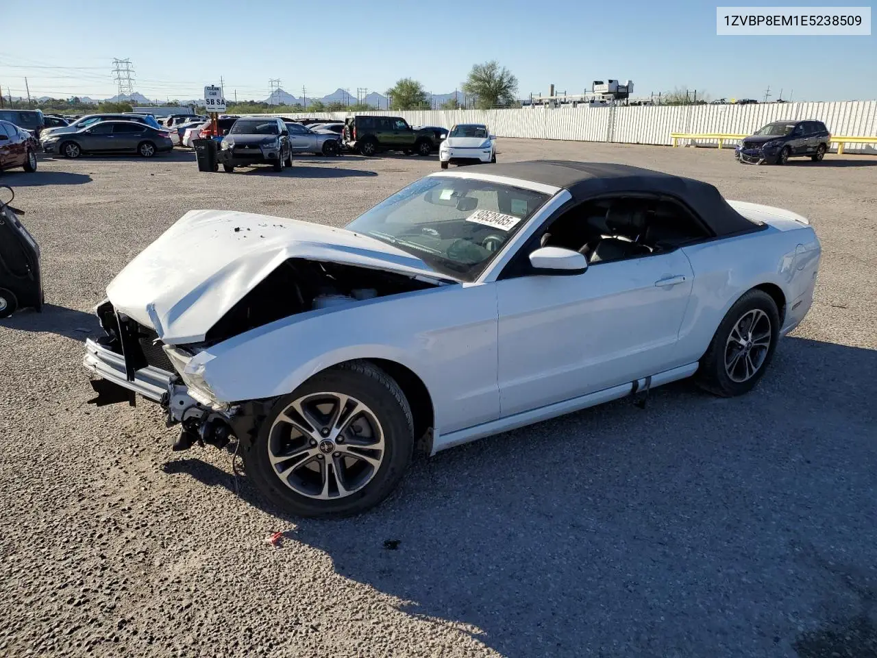 1ZVBP8EM1E5238509 2014 Ford Mustang