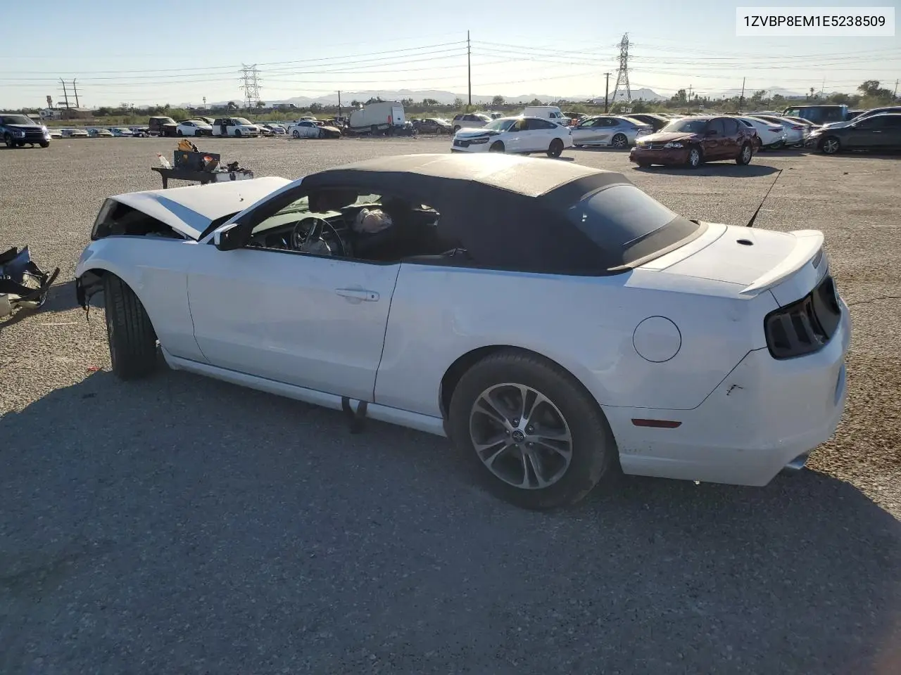 1ZVBP8EM1E5238509 2014 Ford Mustang