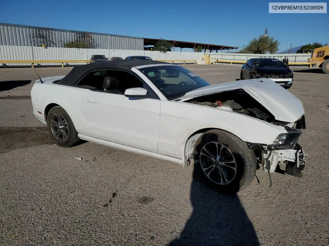 1ZVBP8EM1E5238509 2014 Ford Mustang