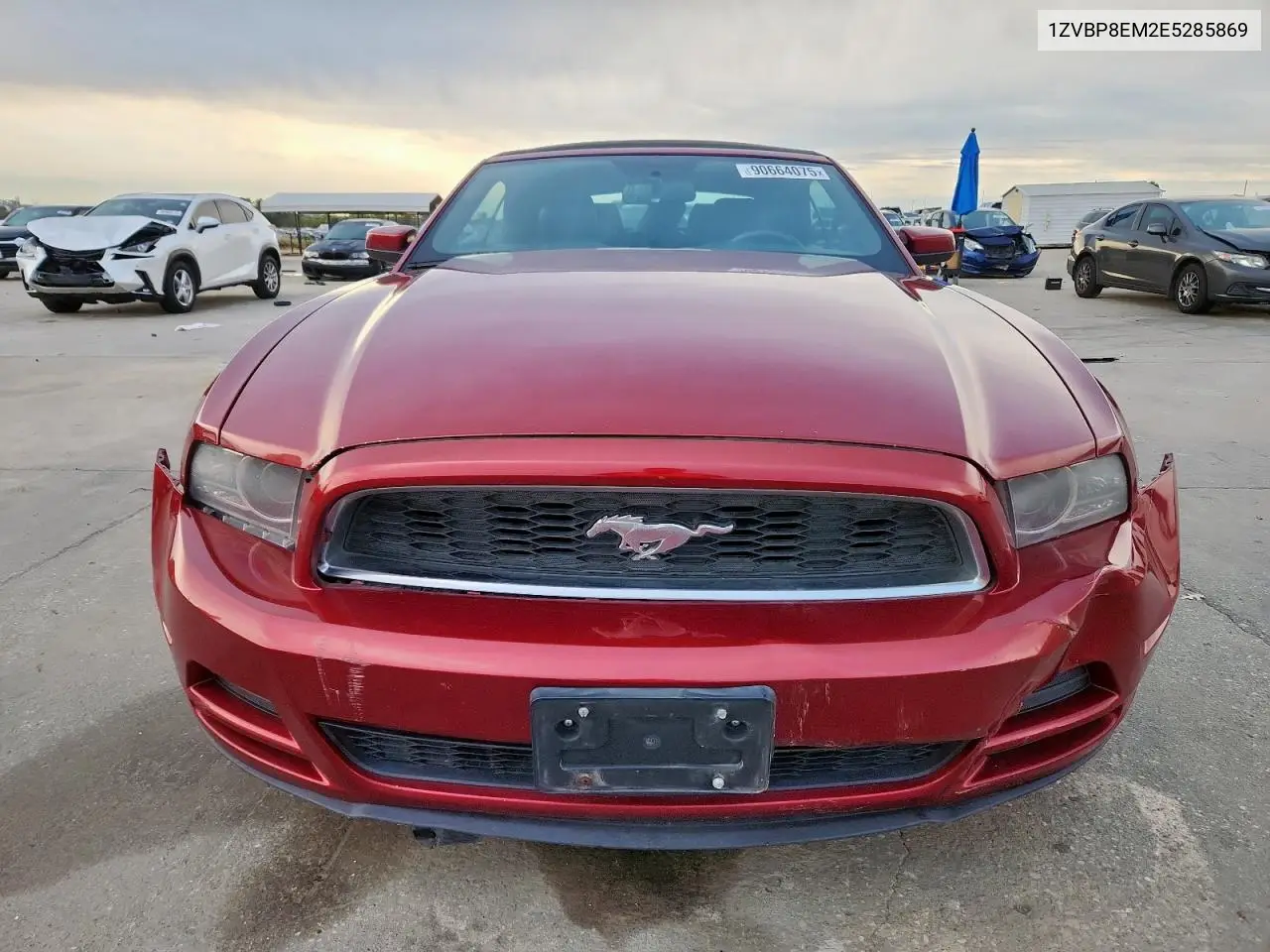 1ZVBP8EM2E5285869 2014 Ford Mustang