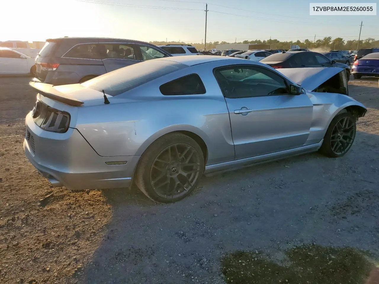 1ZVBP8AM2E5260055 2014 Ford Mustang