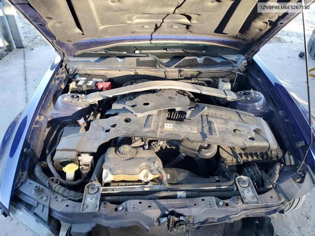 1ZVBP8EM6E5267150 2014 Ford Mustang