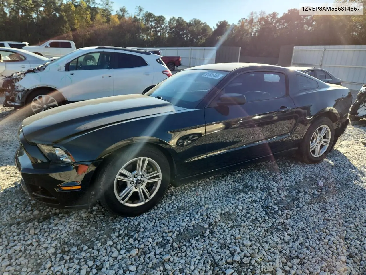 1ZVBP8AM5E5314657 2014 Ford Mustang