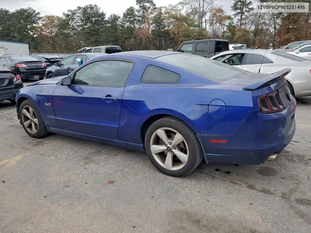 1ZVBP8CF9E5251495 2014 Ford Mustang Gt