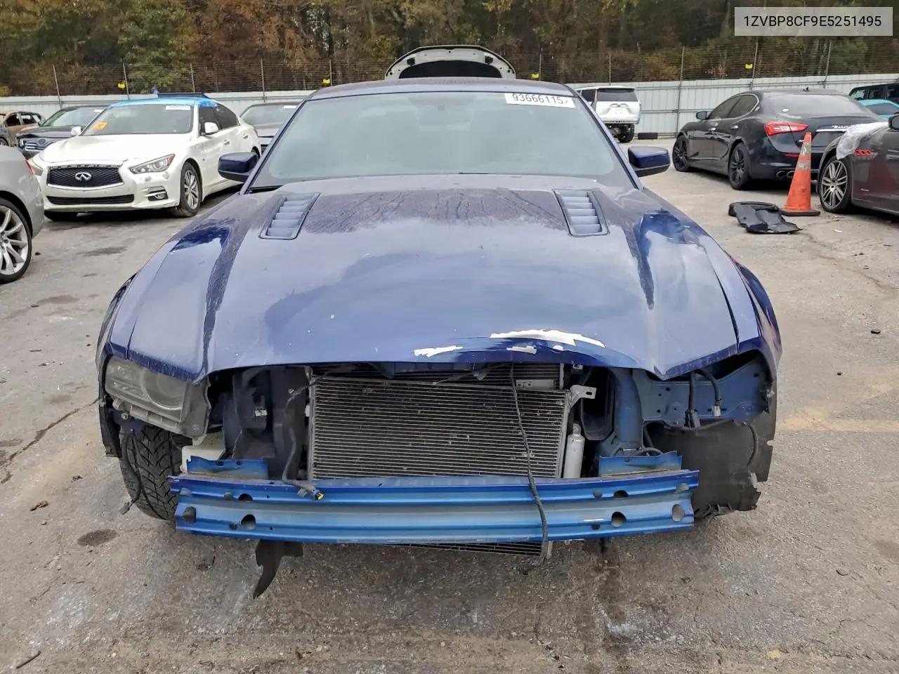 1ZVBP8CF9E5251495 2014 Ford Mustang Gt