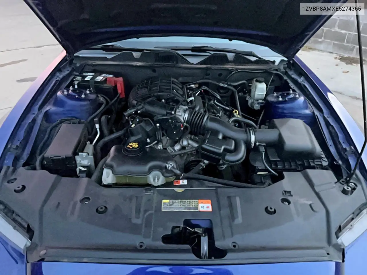 1ZVBP8AMXE5274365 2014 Ford Mustang