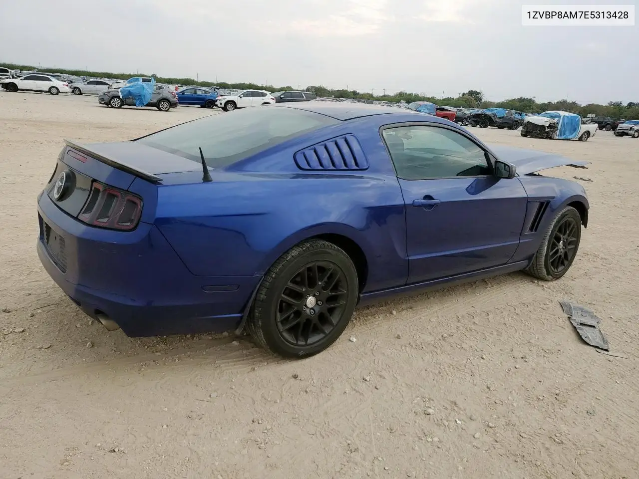 1ZVBP8AM7E5313428 2014 Ford Mustang