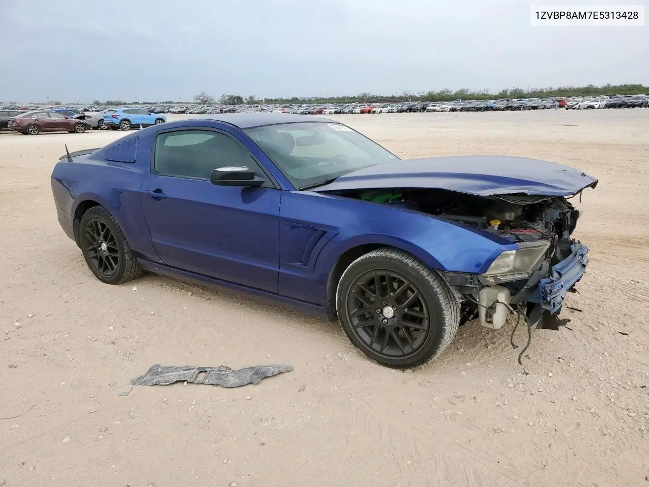 1ZVBP8AM7E5313428 2014 Ford Mustang