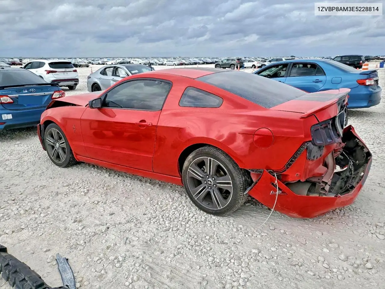 1ZVBP8AM3E5228814 2014 Ford Mustang