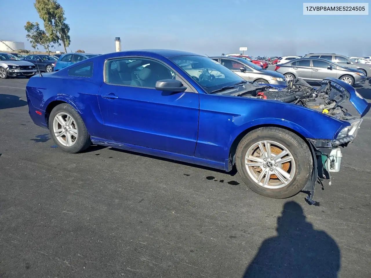 1ZVBP8AM3E5224505 2014 Ford Mustang