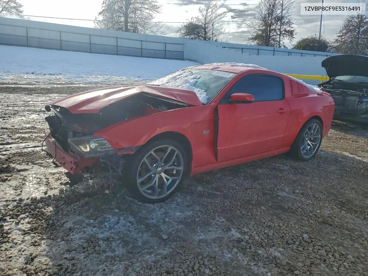 1ZVBP8CF9E5316491 2014 Ford Mustang Gt
