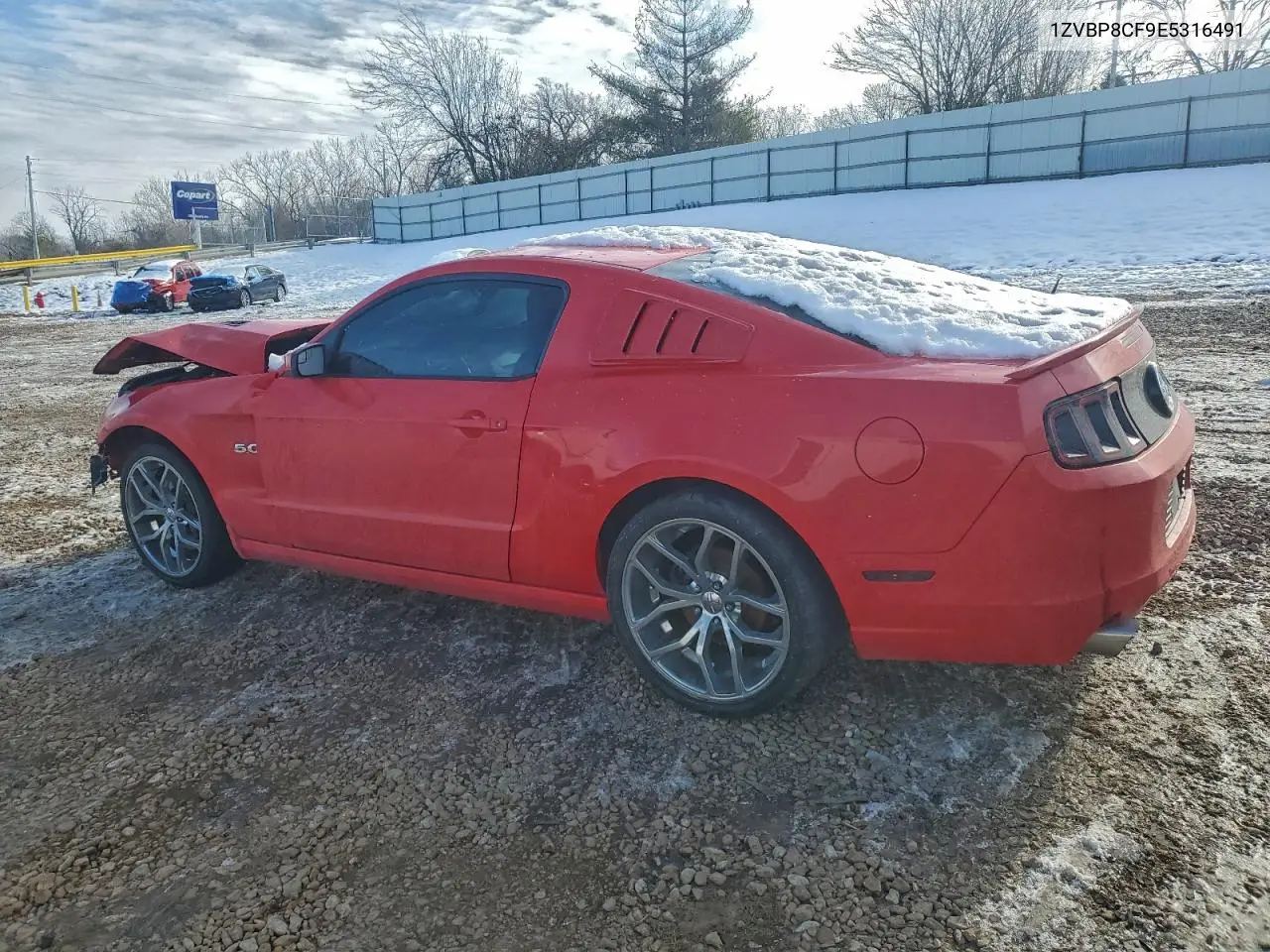 1ZVBP8CF9E5316491 2014 Ford Mustang Gt