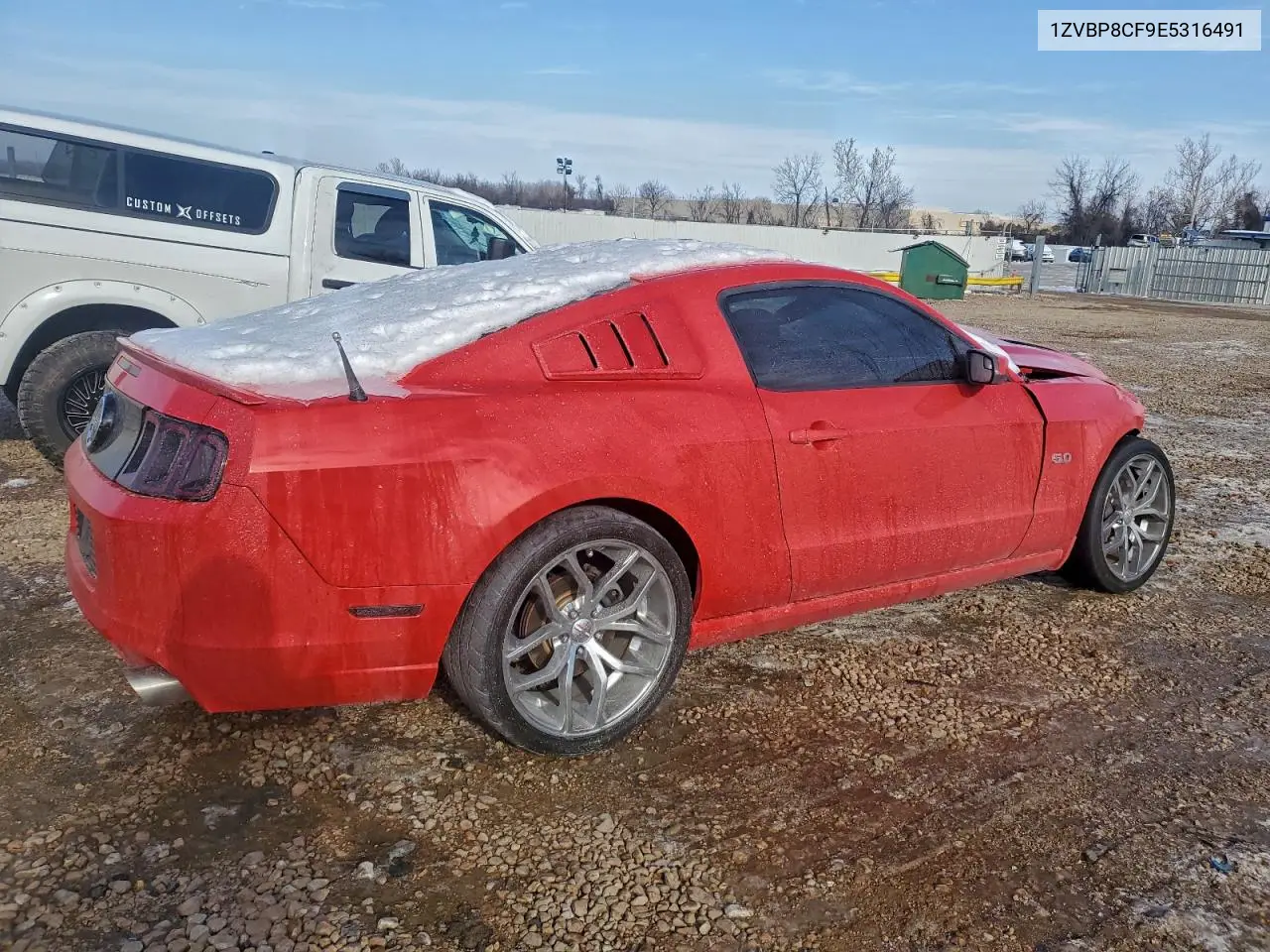 1ZVBP8CF9E5316491 2014 Ford Mustang Gt