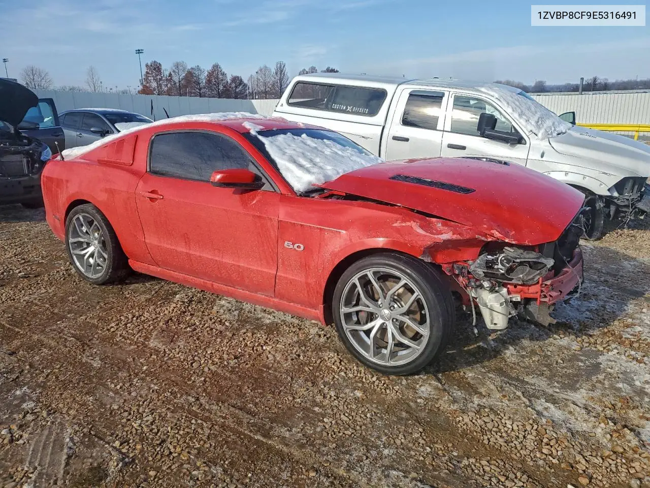 1ZVBP8CF9E5316491 2014 Ford Mustang Gt