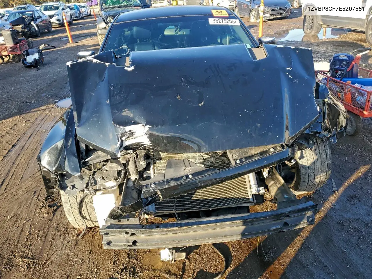 1ZVBP8CF7E5207561 2014 Ford Mustang Gt