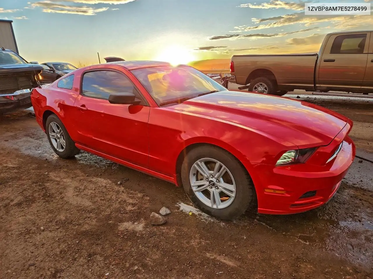 1ZVBP8AM7E5278499 2014 Ford Mustang
