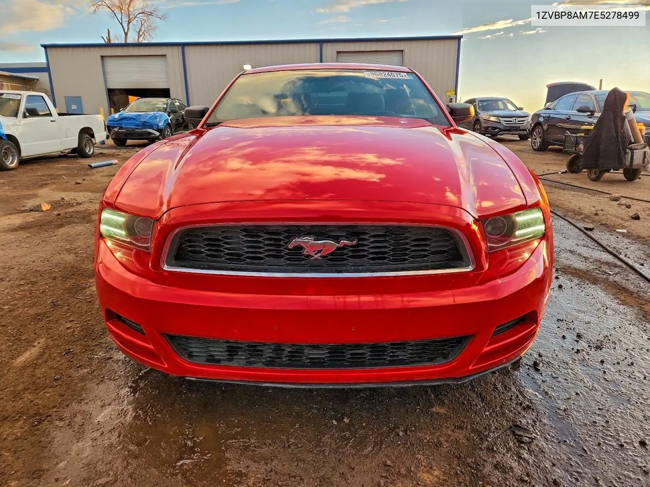 1ZVBP8AM7E5278499 2014 Ford Mustang