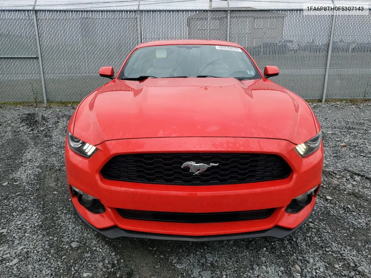 1FA6P8TH0F5307143 2015 Ford Mustang
