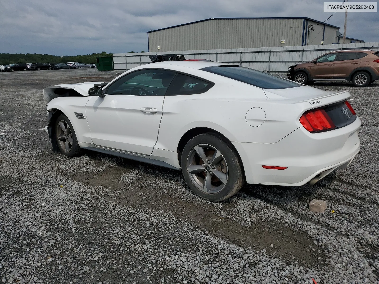 1FA6P8AM9G5292403 2016 Ford Mustang