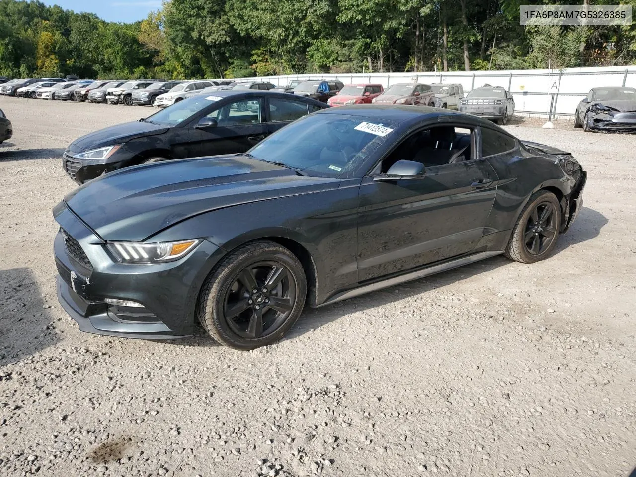 1FA6P8AM7G5326385 2016 Ford Mustang