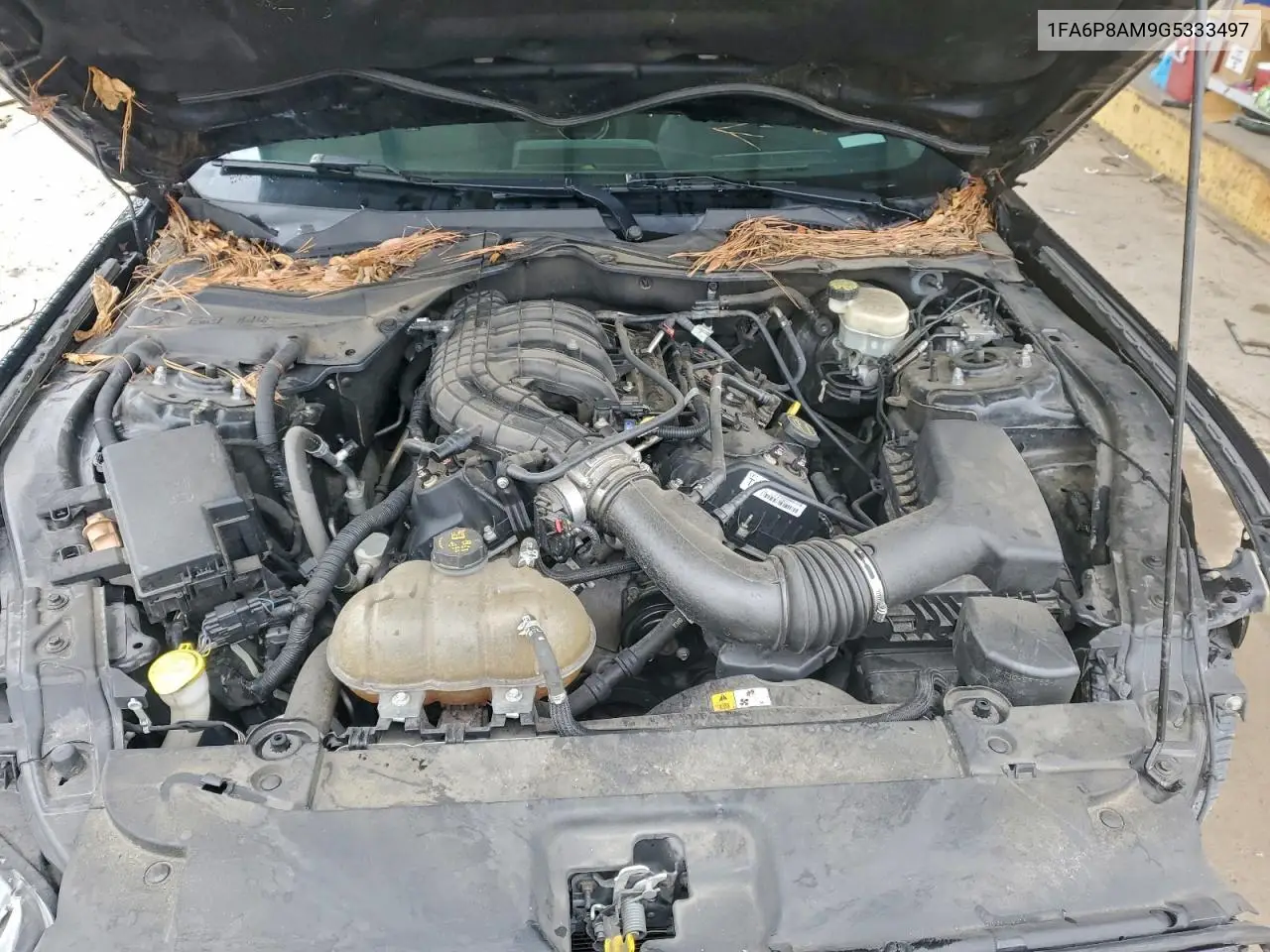 1FA6P8AM9G5333497 2016 Ford Mustang