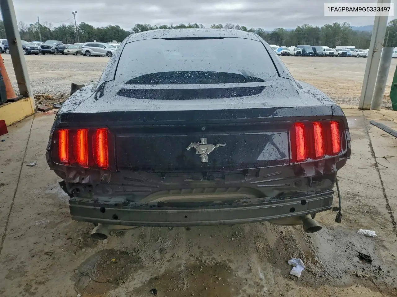 1FA6P8AM9G5333497 2016 Ford Mustang