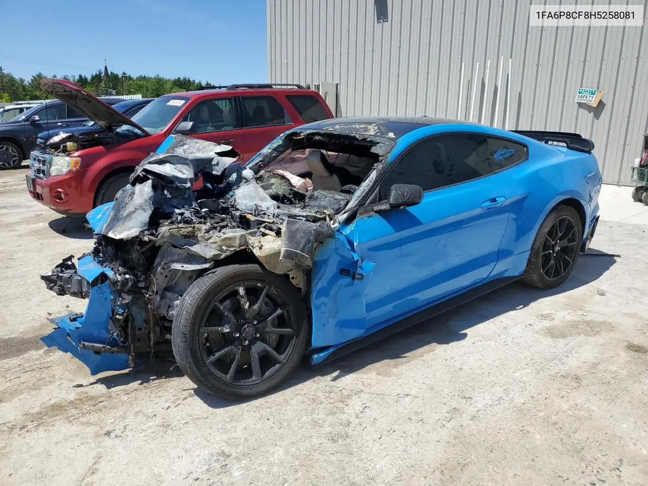 1FA6P8CF8H5258081 2017 Ford Mustang Gt