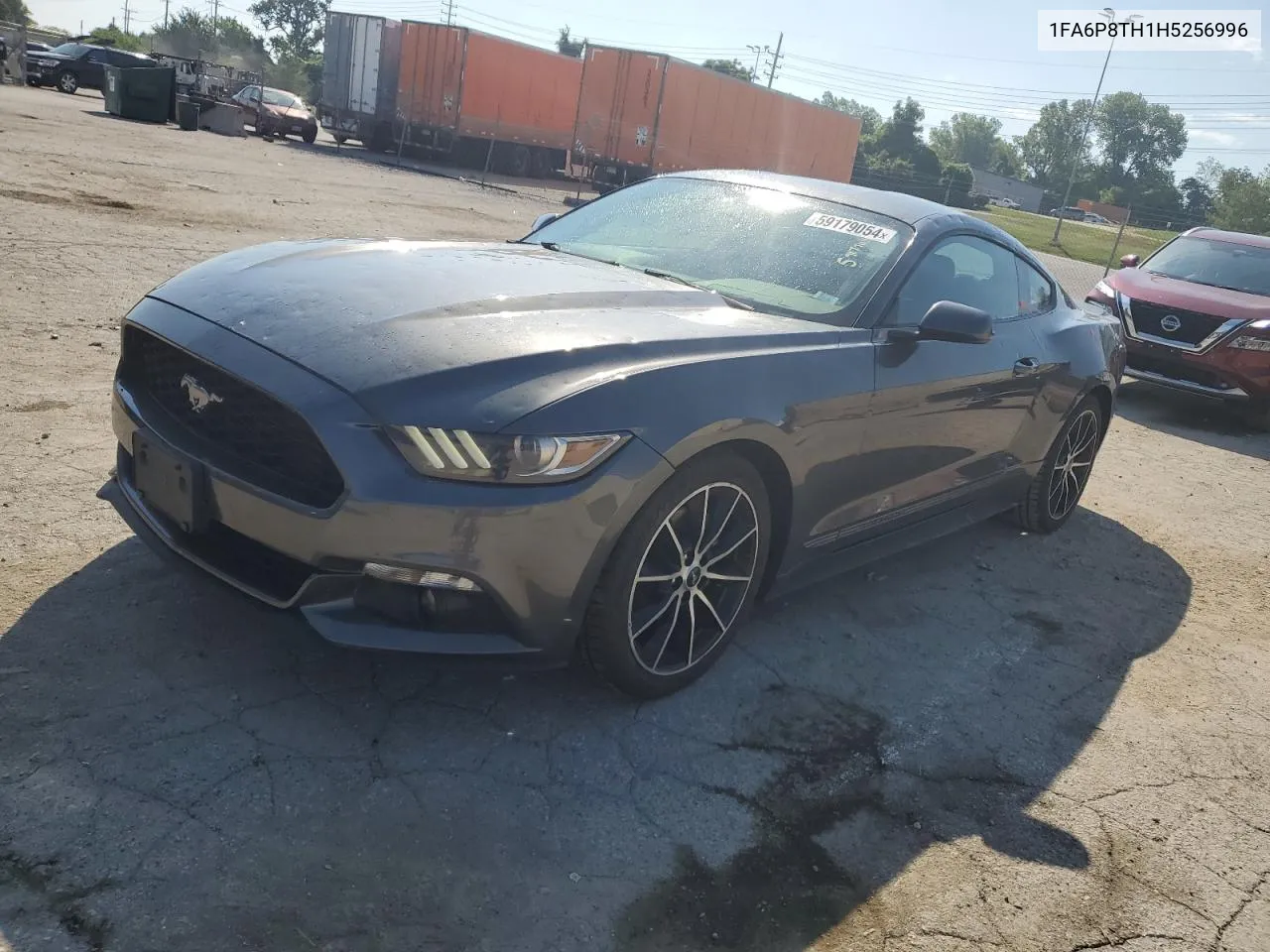 2017 Ford Mustang VIN: 1FA6P8TH1H5256996 Lot: 59179054